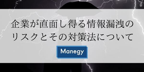 企業が直面し得る情報漏洩のリスクとその対策法について