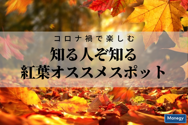 ”コロナ禍で楽しむ知る人ぞ知る紅葉オススメスポット”