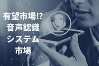 有望市場と目される音声認識システム市場