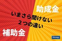 今更聞けない補助金、助成金の違い