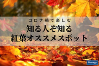 コロナ禍で楽しむ知る人ぞ知る紅葉オススメスポット