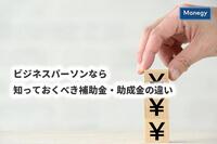 ビジネスパーソンなら知っておくべき補助金・助成金の違い