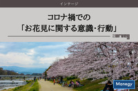 コロナ禍での「お花見に関する意識・行動」をインテージが調査