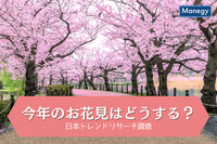 お花見する人は約4割という結果に　今年のお花見、あなたはどうする？