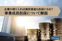 企業の借り入れは無形資産も担保になる？事業成長担保について解説