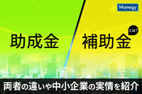 助成金・補助金とは？両者の違いや中小企業の実情を紹介